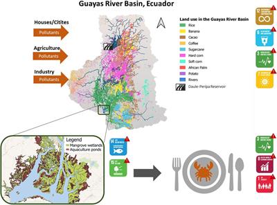 Bayesian belief networks for the analysis of the controversial role of hydropower development in the antagonistic agrofood-fisheries nexus: A potential approach supporting sustainable development in the Guayas river basin (Ecuador)